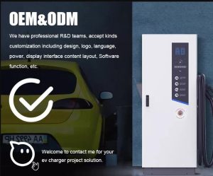 Why You Should Consider Investing in ev Charging Stations for Sale?